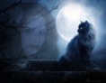 /album/upravene-fotky/a5-jpg/