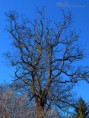 /album/priroda/dscf1246-jpg/